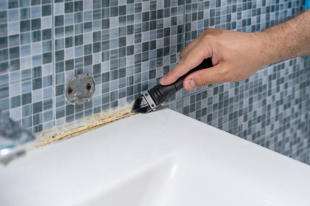 Certified Mold Removal in Lexington, MI